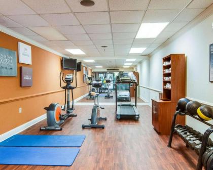 Comfort Suites Inn at Ridgewood Farm - image 9
