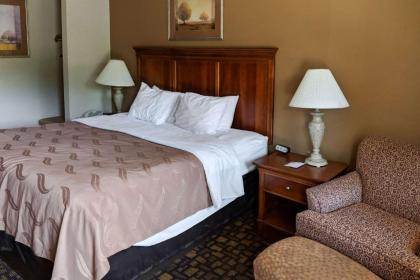 Quality Inn Salem - I-81 - image 11