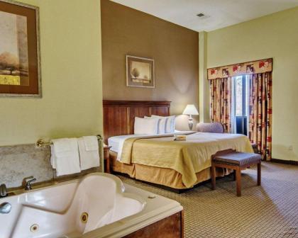 Quality Inn Salem - I-81 - image 13