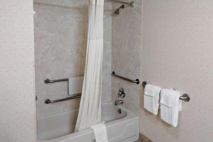 Quality Inn Salem - I-81 - image 2