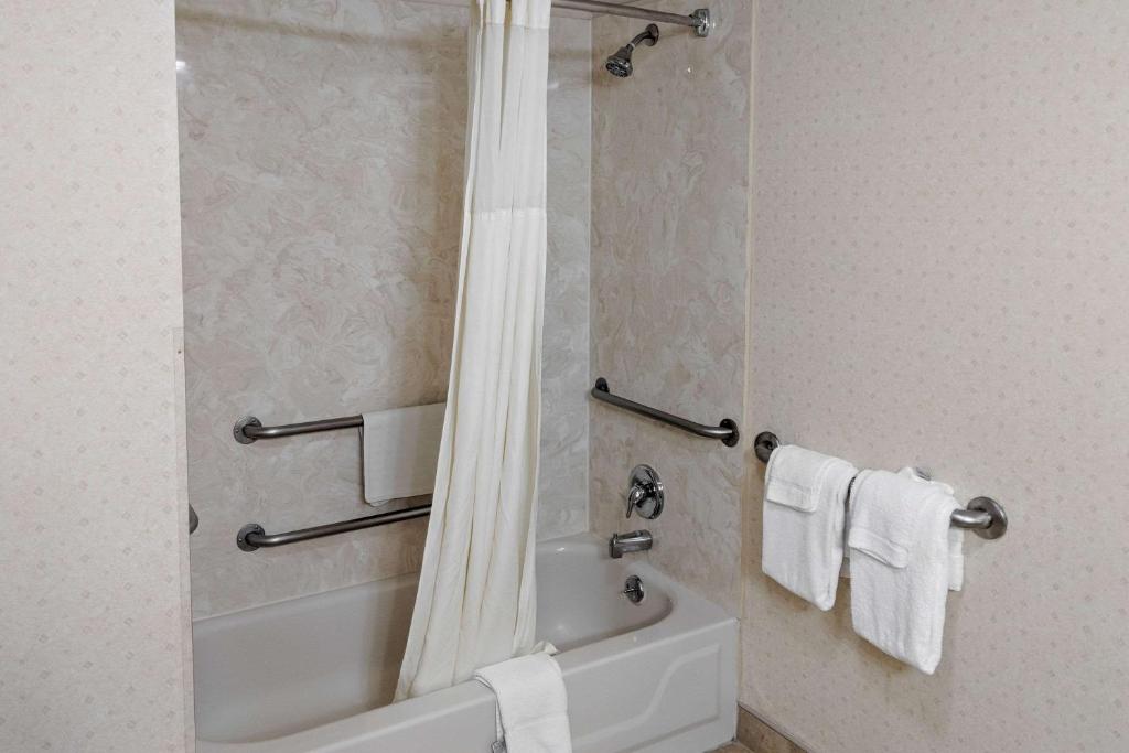 Quality Inn Salem - I-81 - image 2