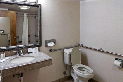 Quality Inn Salem - I-81 - image 4