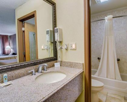 Quality Inn Salem - I-81 - image 9