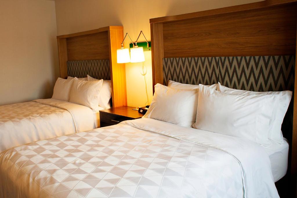 Holiday Inn - Salem an IHG Hotel - image 7