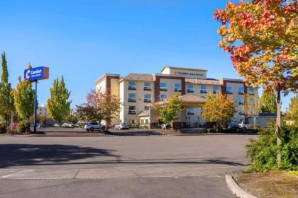 Comfort Inn And Suites Salem