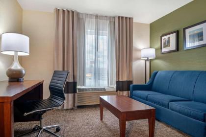 Comfort Inn & Suites Salem - image 14