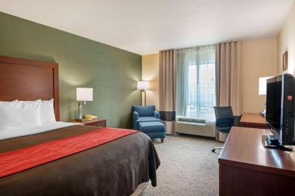 Comfort Inn & Suites Salem - image 15