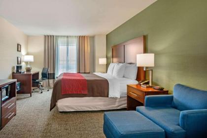 Comfort Inn & Suites Salem - image 3