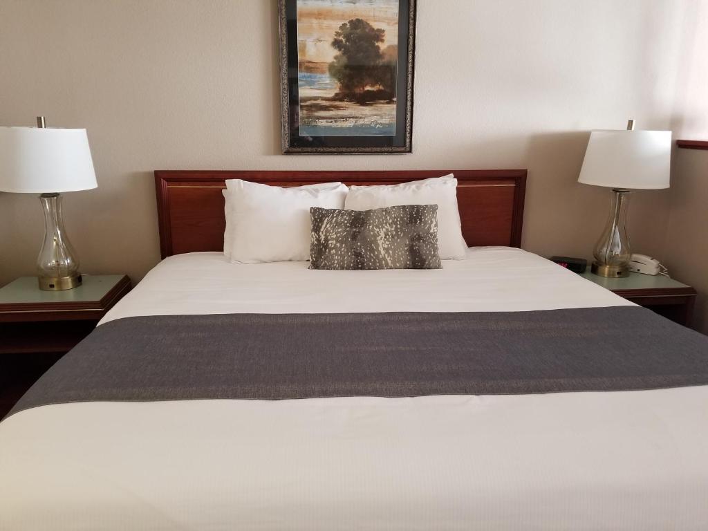 Shilo Inn Suites Salem - image 6