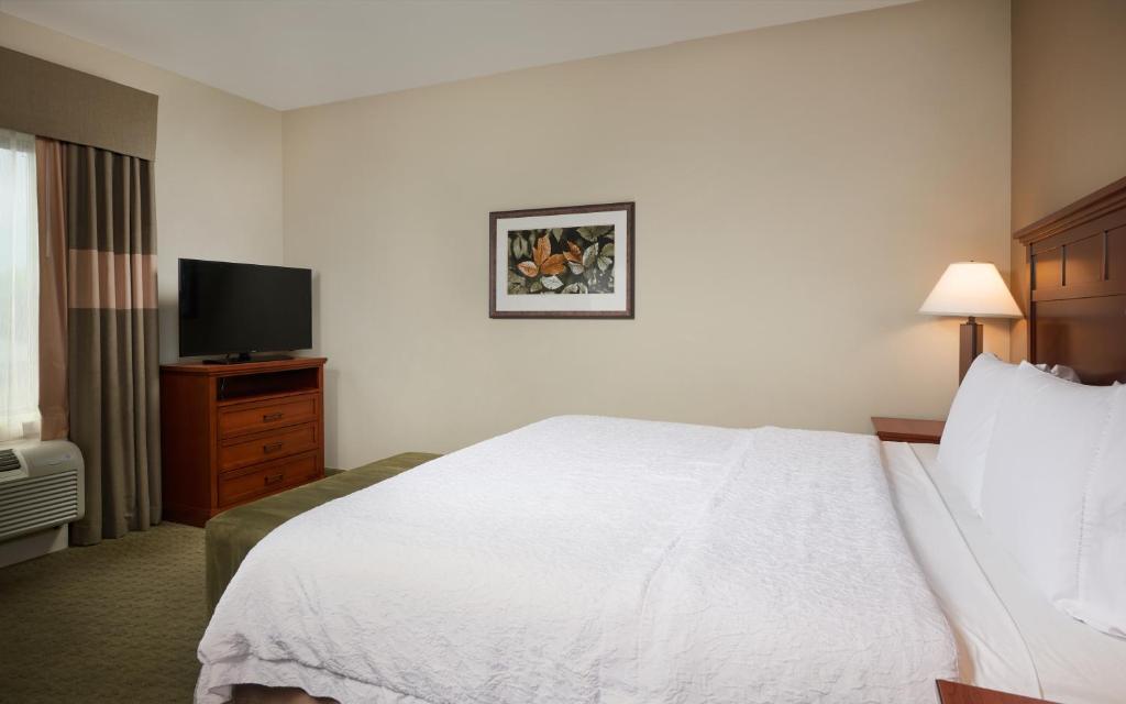 Hampton Inn and Suites Salem - image 3