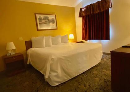 Rodeway Inn Salina - image 4