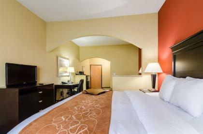 Comfort Suites Salina - image 5