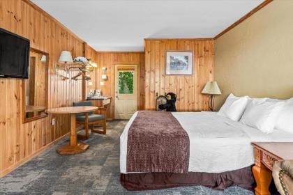 Saluda Mountain Lodge - image 13