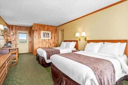 Saluda Mountain Lodge - image 2