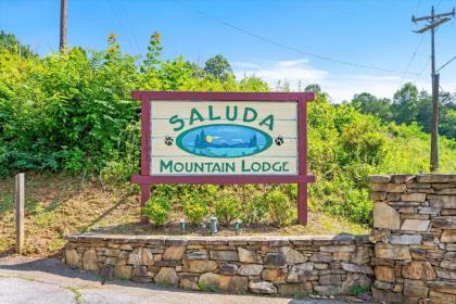 Saluda Mountain Lodge - image 5