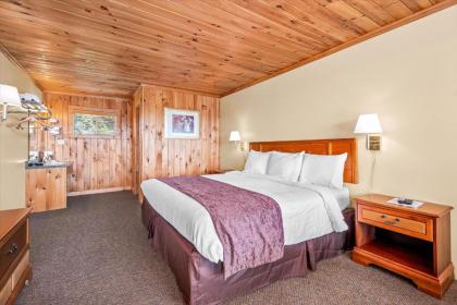 Saluda Mountain Lodge - image 8