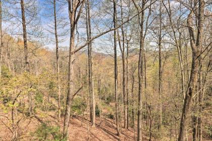 Modern Mtn Hideaway - 1 Mi to Hike and Zipline! - image 4
