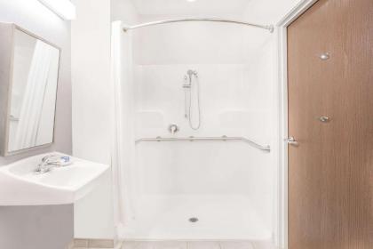 Microtel Inn and Suites San Angelo - image 4