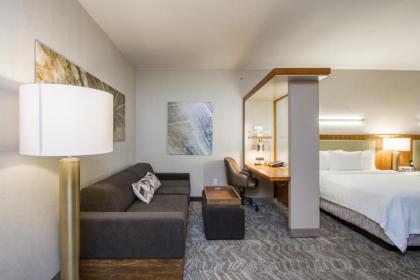 SpringHill Suites by Marriott San Angelo - image 5