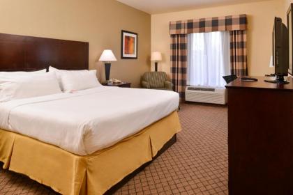 Holiday Inn Express Hotel & Suites San Antonio NW-Medical Area an IHG Hotel - image 2