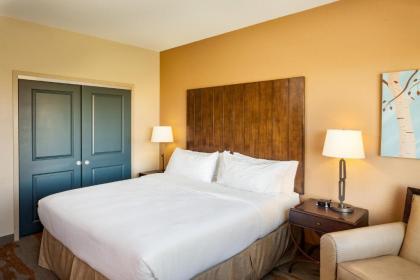 Holiday Inn San Antonio Northwest- SeaWorld Area an IHG Hotel - image 4