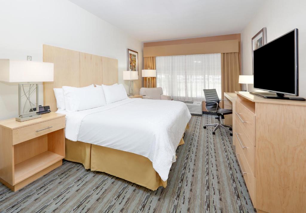 Holiday Inn Express & Suites San Antonio Brooks City Base an IHG Hotel - image 4