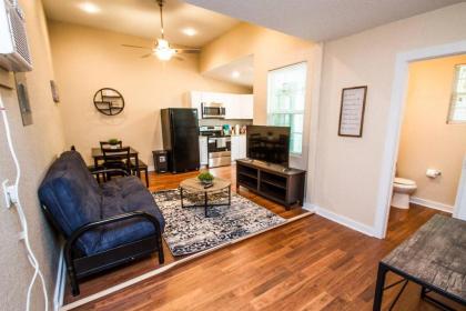 One Bedroom Apartment Near Downtown with Sleeper Texas