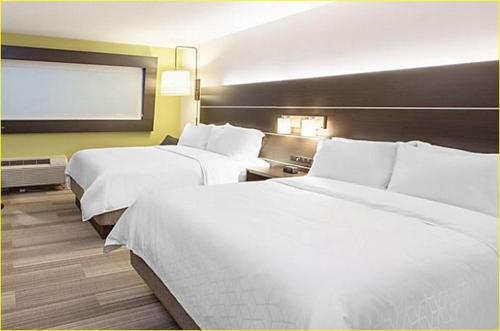 Holiday Inn Express - San Antonio East I-10  an IHG Hotel - image 2