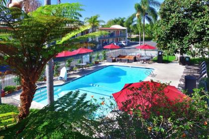 Lamplighter Inn & Suites at SDSU - image 4