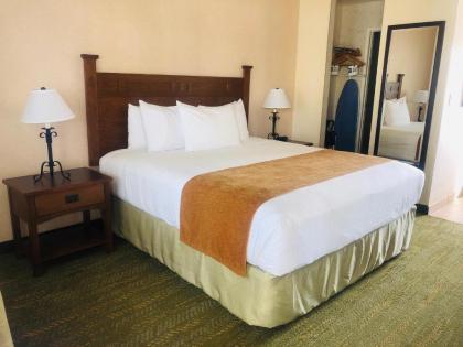 Lamplighter Inn & Suites at SDSU - image 5