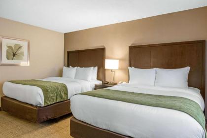 Comfort Inn & Suites San Diego Zoo SeaWorld Area - image 2