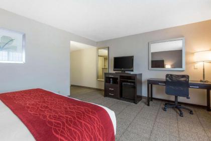 Comfort Inn & Suites San Diego Zoo SeaWorld Area - image 3