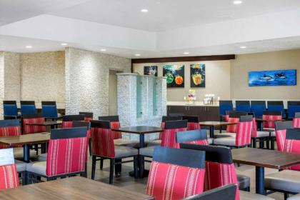 Comfort Inn & Suites San Diego Zoo SeaWorld Area - image 4