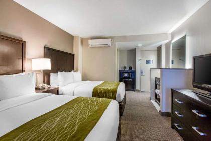 Comfort Inn & Suites San Diego Zoo SeaWorld Area - image 5