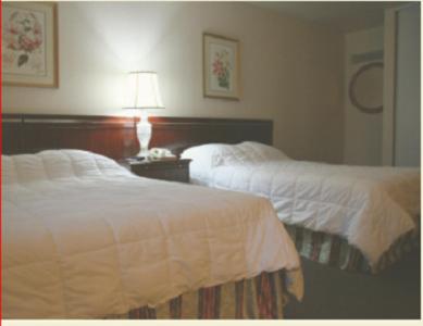 Caravelle Inn & Suites - image 2