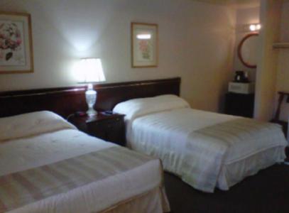 Caravelle Inn & Suites - image 4