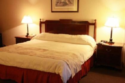 Caravelle Inn & Suites - image 5