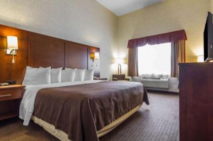 Quality Inn San Jose - image 5