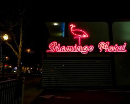 the Flamingo motel San Jose California