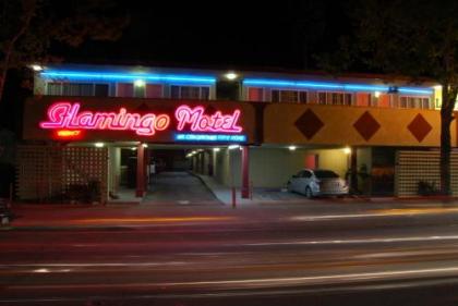 The Flamingo Motel - image 3