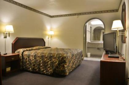 The Flamingo Motel - image 4