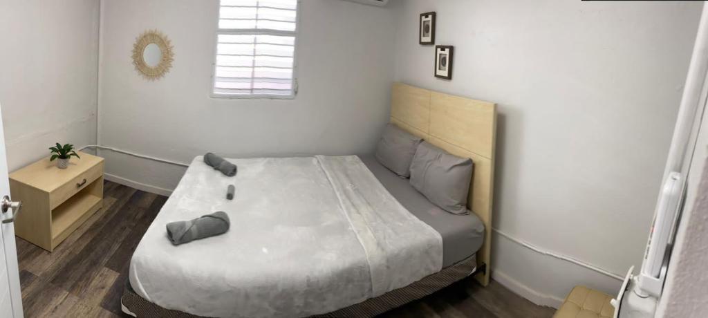 Open Air loft 4 bedrooms in Santurce San Juan beach - image 3