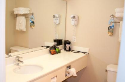 Lamplighter Inn & Suites - image 10