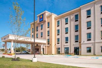 Comfort Inn  Suites San marcos San marcos