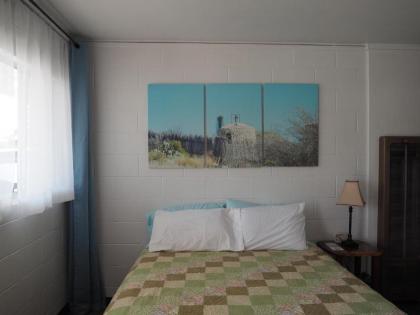 Desert Air Motel - image 13