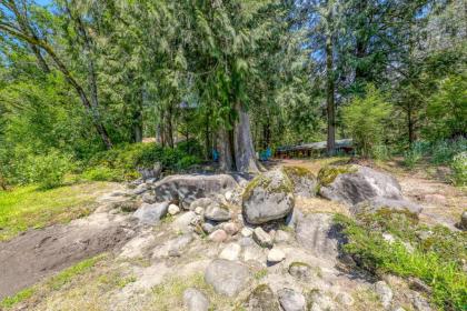Bob's Riverfront Retreat - image 4