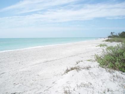 Caribbean Inspired Resort Condos on the Gulf Coast - image 14
