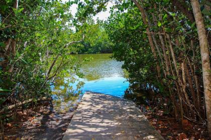 Blind Pass Condo D206 on beautiful Sanibel Island - image 10