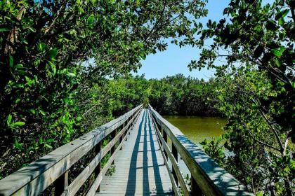 Blind Pass Condo D206 on beautiful Sanibel Island - image 13