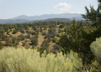 Artist Road #30 2 Bedrooms Fireplace Pool Access Washer/Dryer Sleeps 4 - image 5